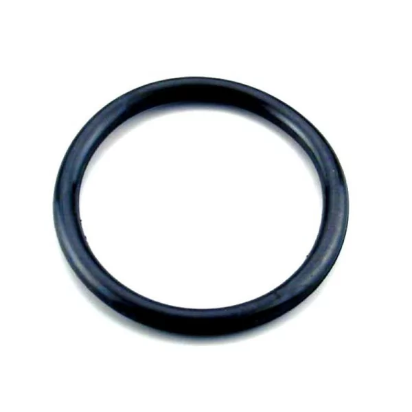 O-ring para projector AstralPool - 1