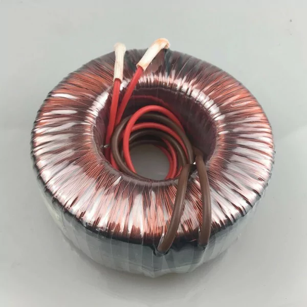 Toroidal transformer 12V AC 50W